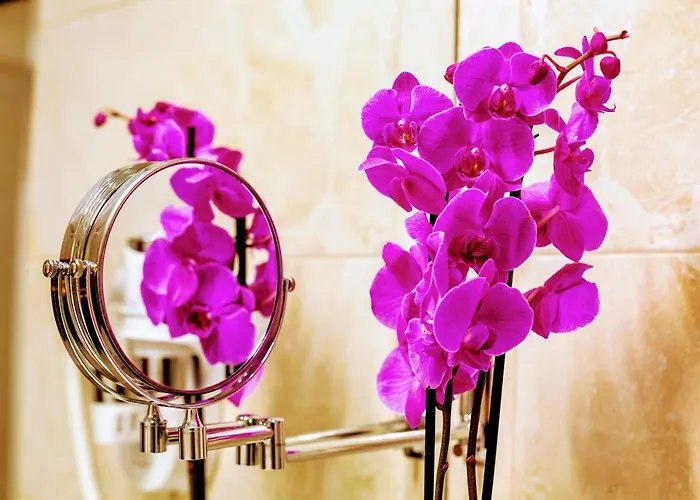 شقة Family In Center With Balcony إلفيف